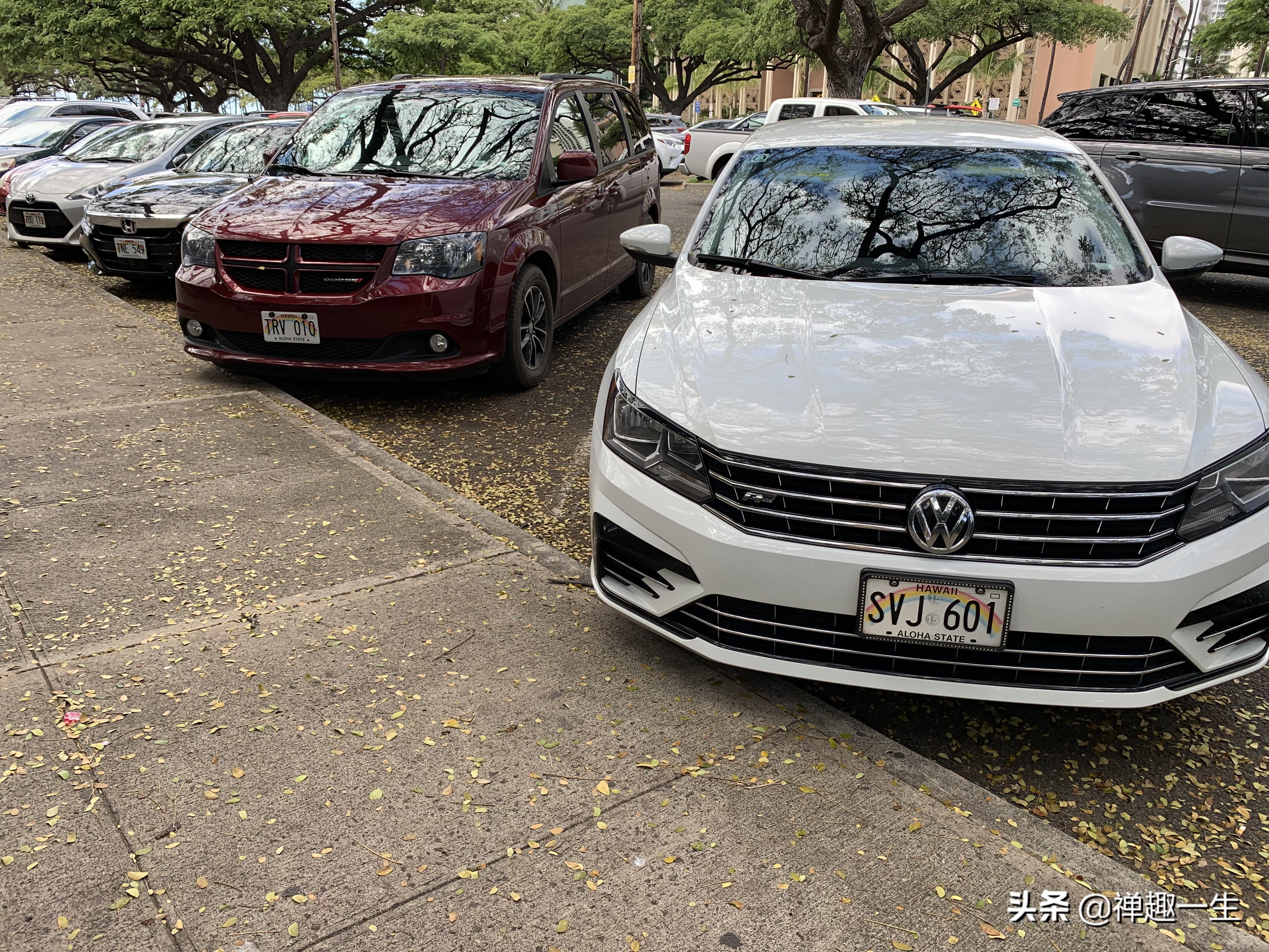 西班牙人哪里有好玩的,西班牙人看巴塞罗那