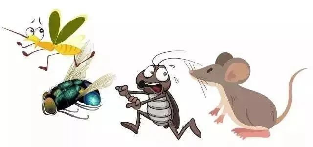 爱国卫生运动中的四害,爱国卫生运动除哪四害