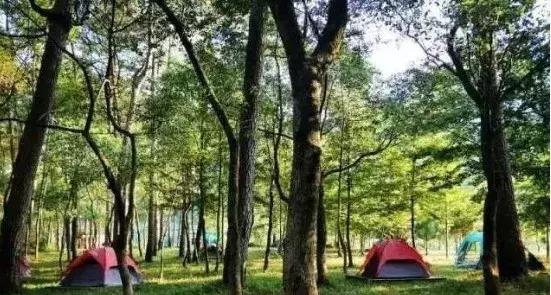 福建房车露营,五大精选房车露营地