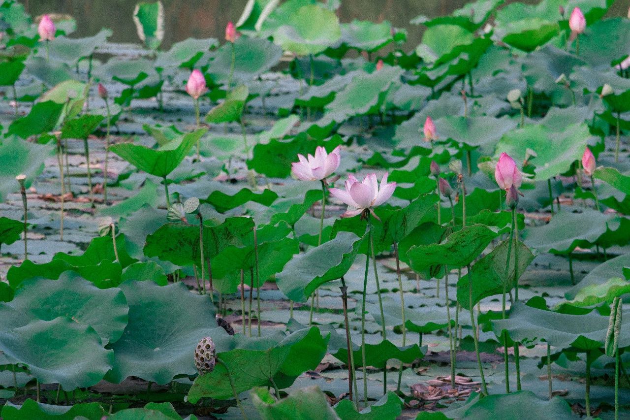 深圳夜晚小众打卡地景点,深圳十个小众打卡地
