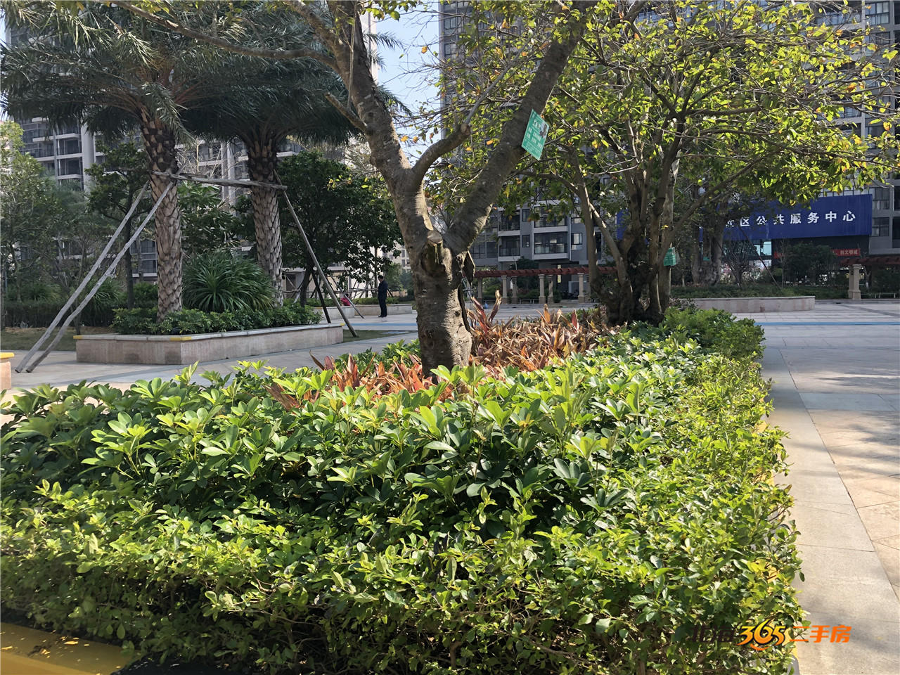 北海嘉盛名都房屋出售,北海嘉盛名都豪宅