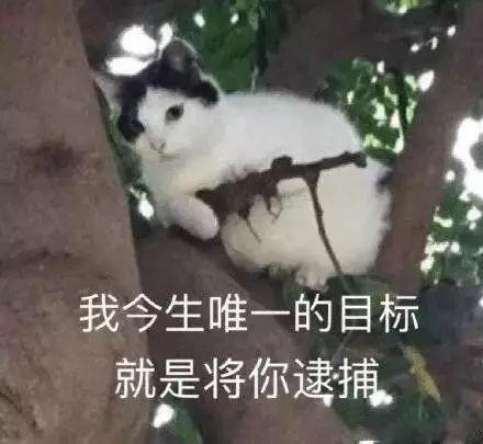 玩游戏必备的东西,电商必会技能