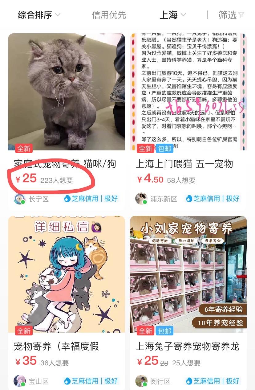 我躺着靠副业月入过万的赚钱思路,今年上班族做什么副业最好最赚钱