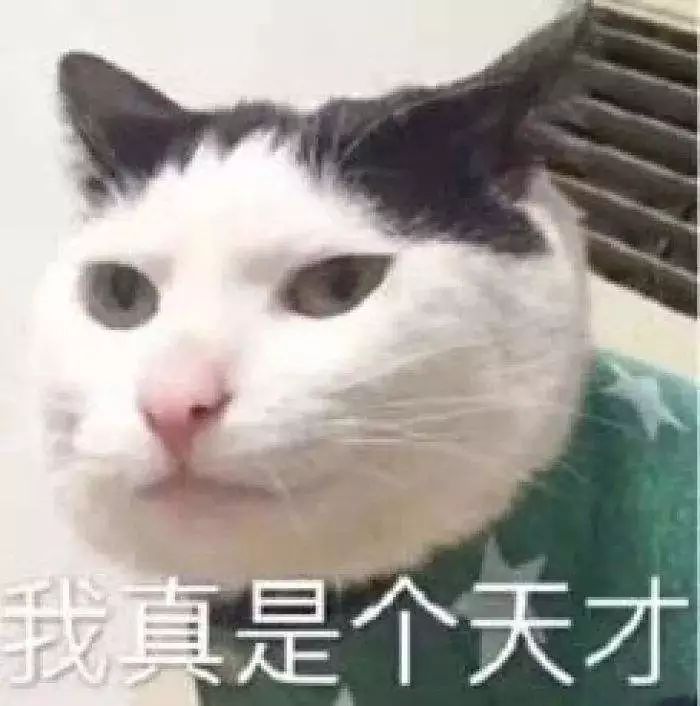 出境旅游领队证,如何办理出境旅游领队证