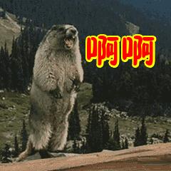 PPT死机怎么恢复最新版本,ppt出现问题怎么修复