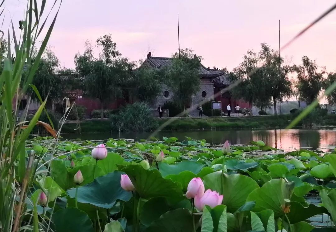 桃花泉杯全国业余围棋公开赛,淮阳围棋比赛