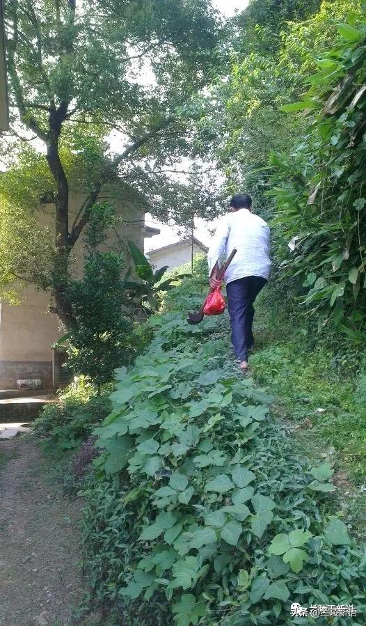 清明追思奶奶图片,清明怀念已故奶奶短句