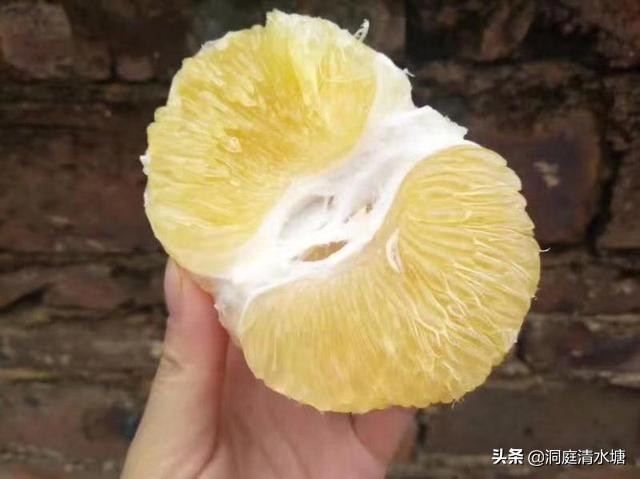 皮薄汁多甜柚子,菠萝味的灌汤包