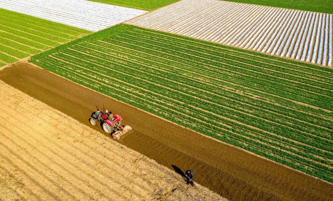 e起助力同心战“疫”——优秀网络作品展示（七）