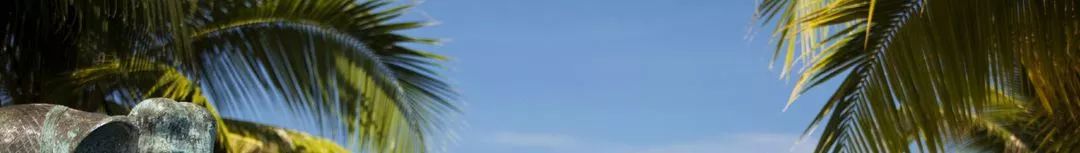 2018年全球签证政策变化汇总,各个国家的签证新政策