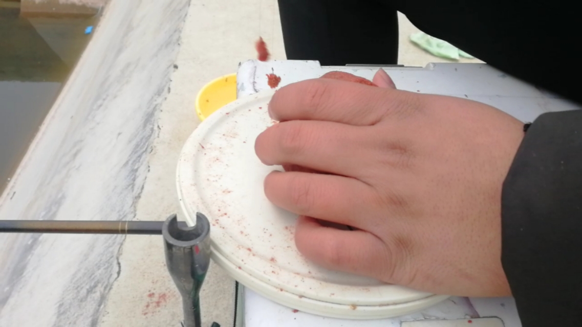 开好的红虫拉饵用不完怎么保存,拉饵要怎么用才能不会掉