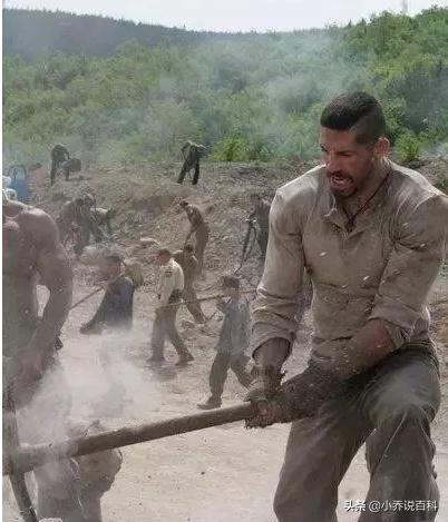 必须看的50部电影,必须看的五十部电影