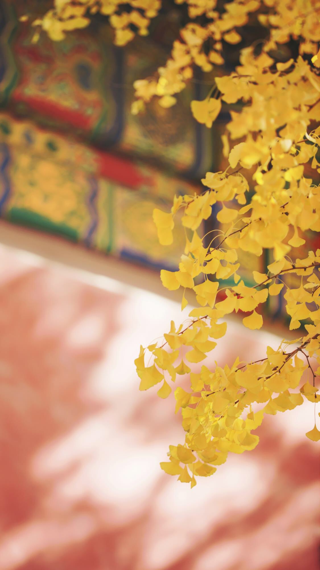 1920超高清手机自然风景壁纸,壁纸超清4k手机壁纸简单干净风景