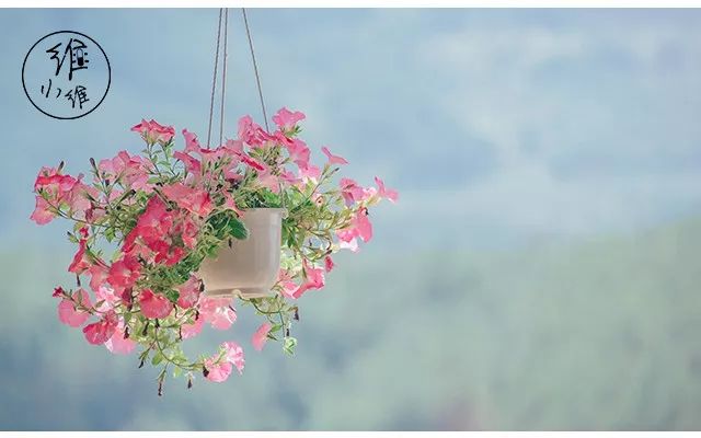 开美甲店赚钱吗,商场开美甲店赚钱吗