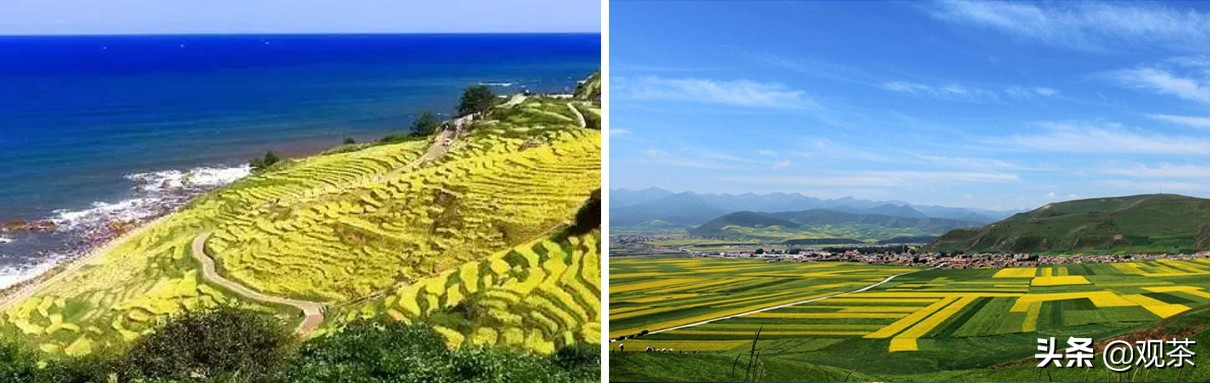 珠海有哪些值得打卡的地方,珠海有什么地方值得去打卡