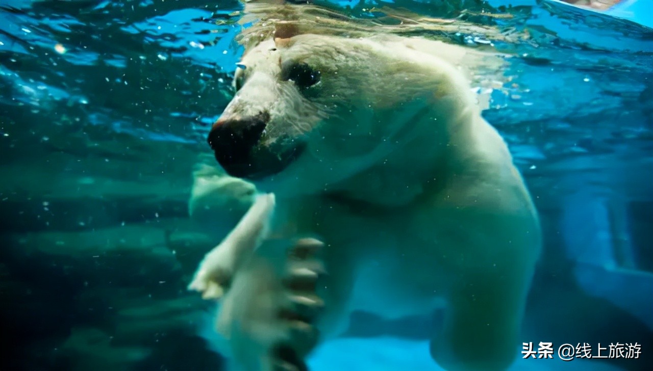 青岛三天旅游攻略详细,青岛旅游美食攻略最值得去的地