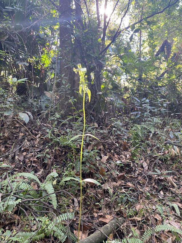 清远温泉度假村排行,清远温泉度假村酒店推荐