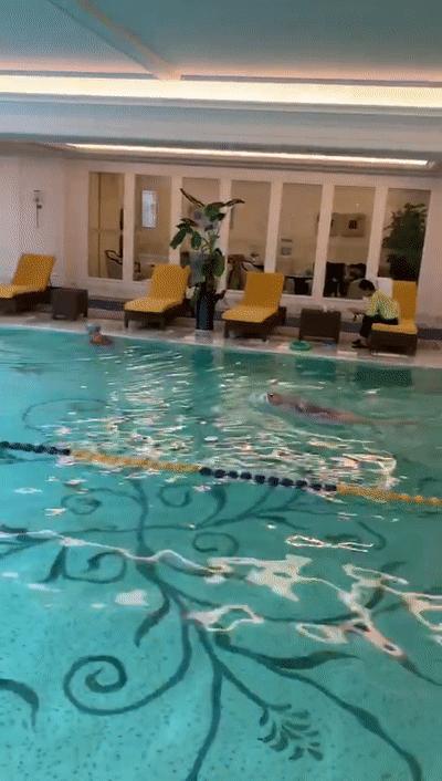 初学潜水有潜水圈,初学潜水浮起来了游不走