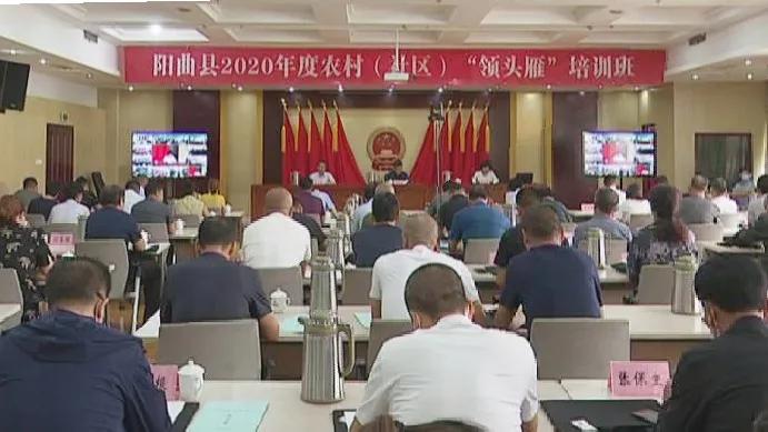 陵川农村领头雁培训,领头雁培训开课