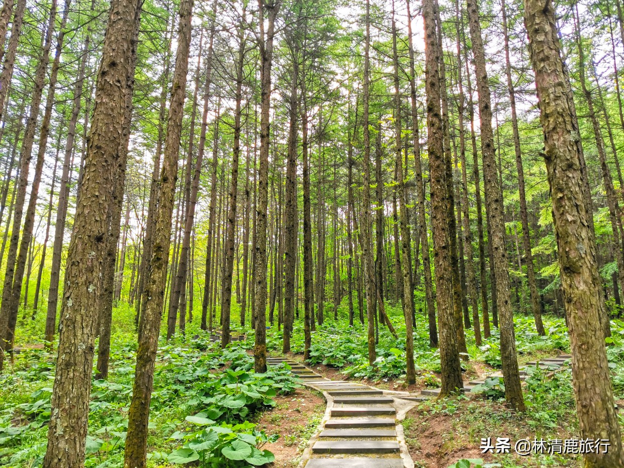郑州周边最凉爽的避暑胜地是哪里,郑州周边的避暑胜地有哪些