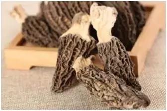 创业致富项目农村种什么赚钱,适合农村的创业好项目养殖