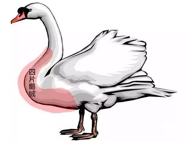 moncler蒙口羽绒服真假如何辨别,羽绒服挑选指南面料