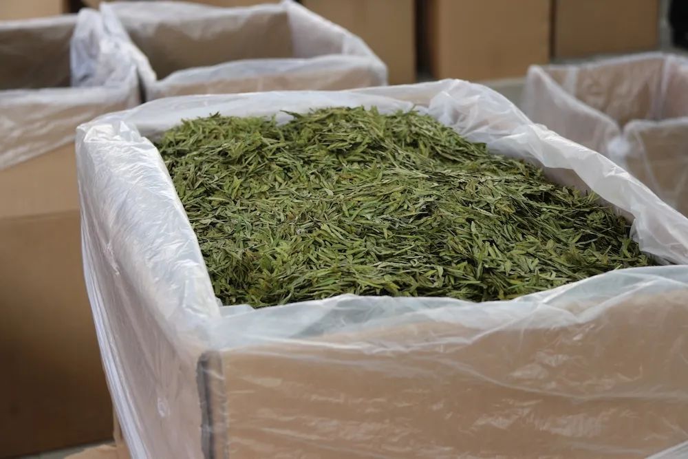 早上6点，去蒙顶山买茶是一种什么体验？