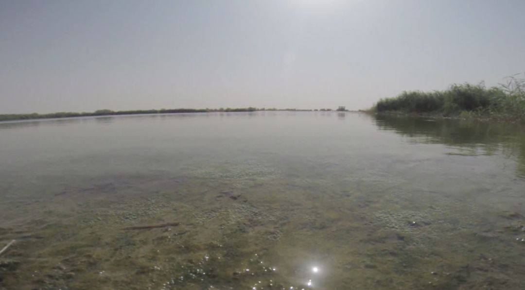 中国非遗文化走进国际学校,参观中国非遗博物馆