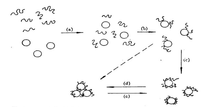 生物发酵液固液分离,发酵工程固液分离的方法有哪些