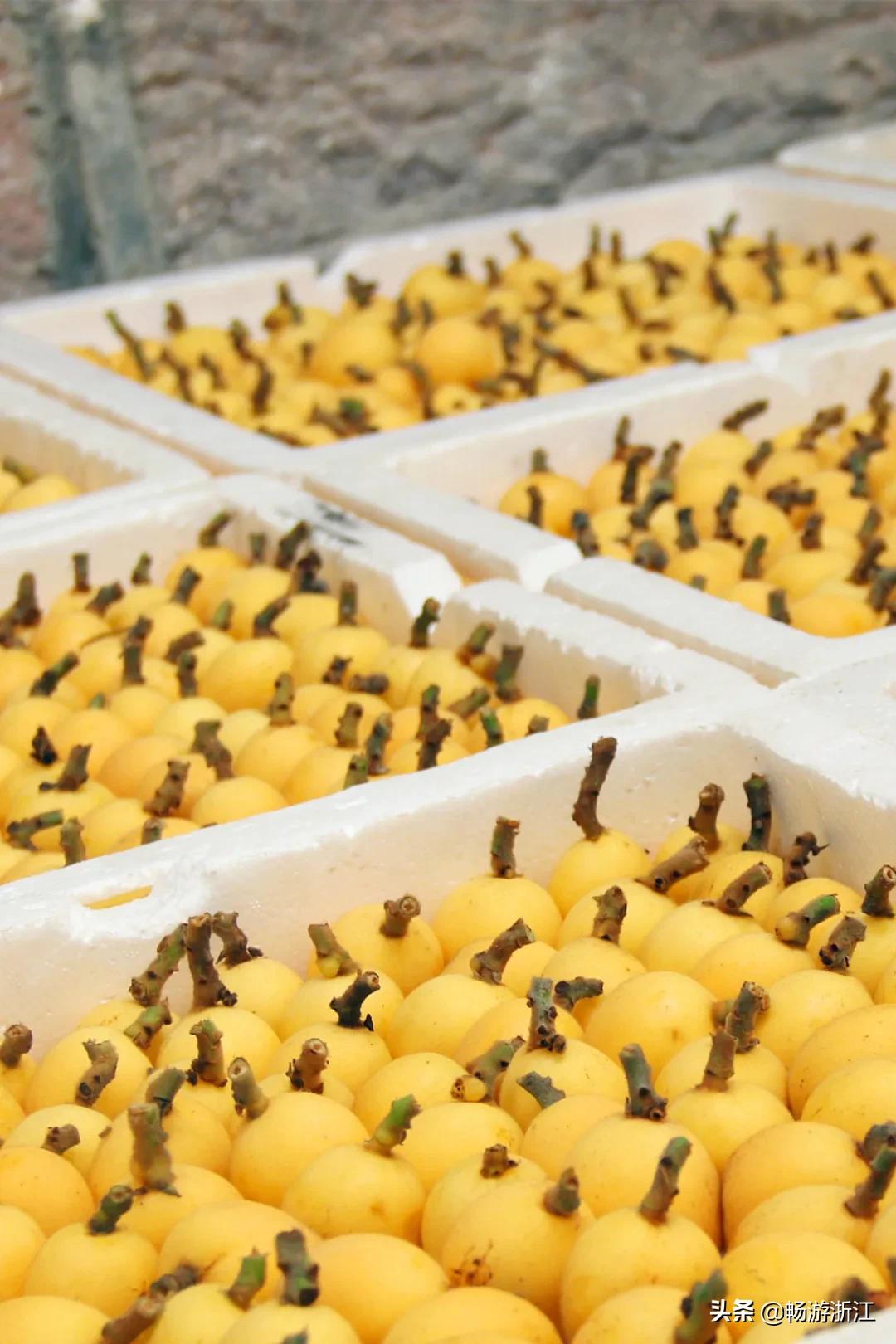 普吉岛到底是什么样的地方,世界级海岛普吉岛