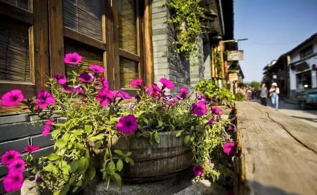 茗岙梯田航拍中国,茗岙梯田仙境