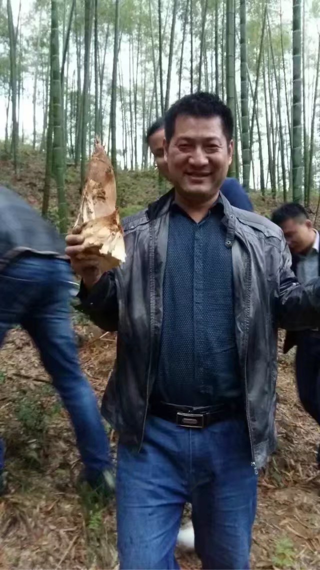 浙江安吉竹海四天旅游攻略,安吉大竹海旅游攻略路线