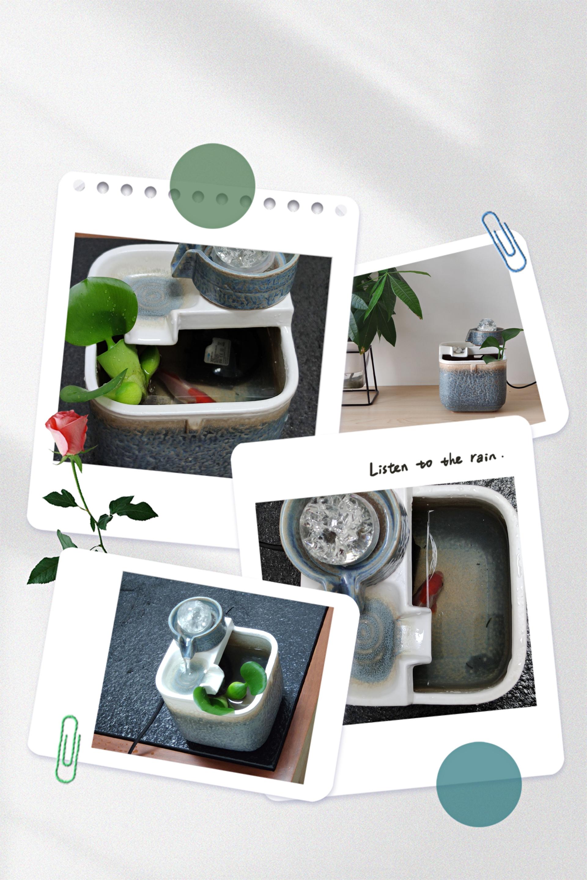 关于鱼缸的风水讲究图片,鱼缸的风水知识禁忌