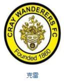 英格兰队徽壁纸,英格兰队徽图片蓝锁