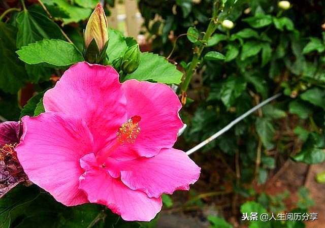 人生格言正能量励志名句简短,励志短句正能量名人名言