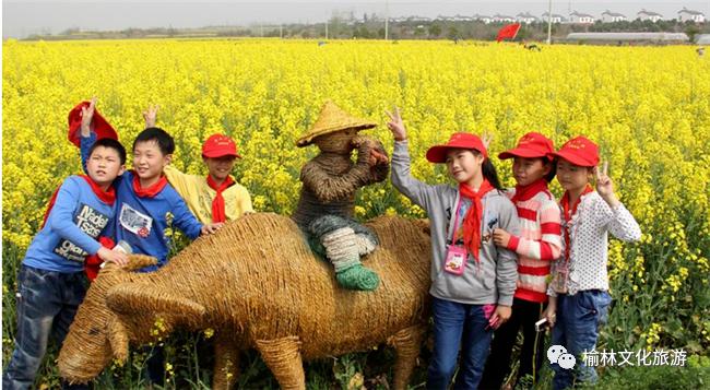 榆阳区周末游玩推荐,榆林芹河旅游