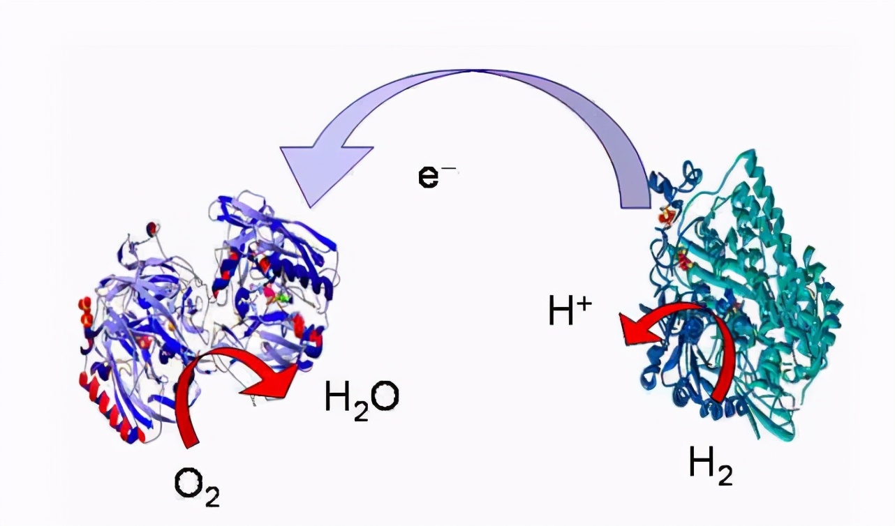 除甲醛最有效方法总结,除甲醛创业优劣势