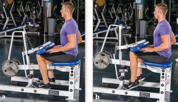 力量训练一周6练训练计划,一天练三个部位的力量训练