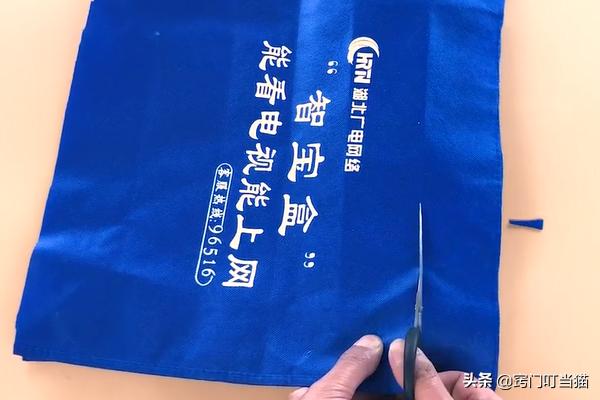 衣服布袋子别扔了，剪几刀放在家里有大用处，朋友看见都想要