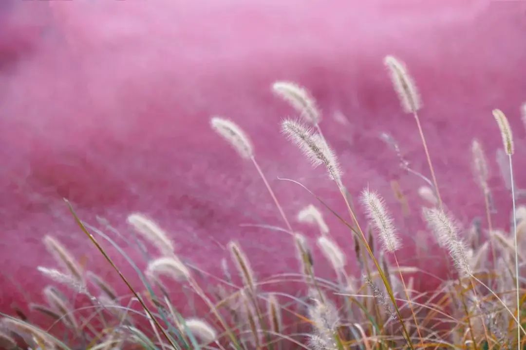 一周信息汇总,一周概览用什么文案表达