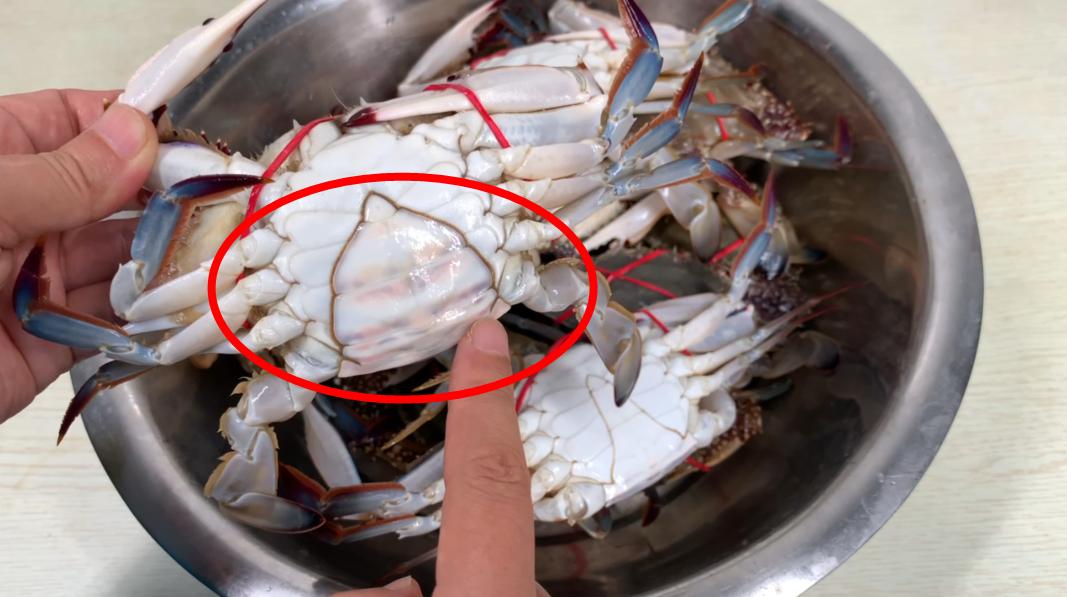 螃蟹保存，教你一招！放10天都新鲜，中秋不用再花高价买着吃了