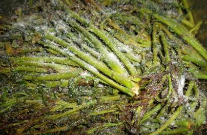 奶奶腌香椿菜秘方，3步就做好，能保存一年，现吃现取，简单方便