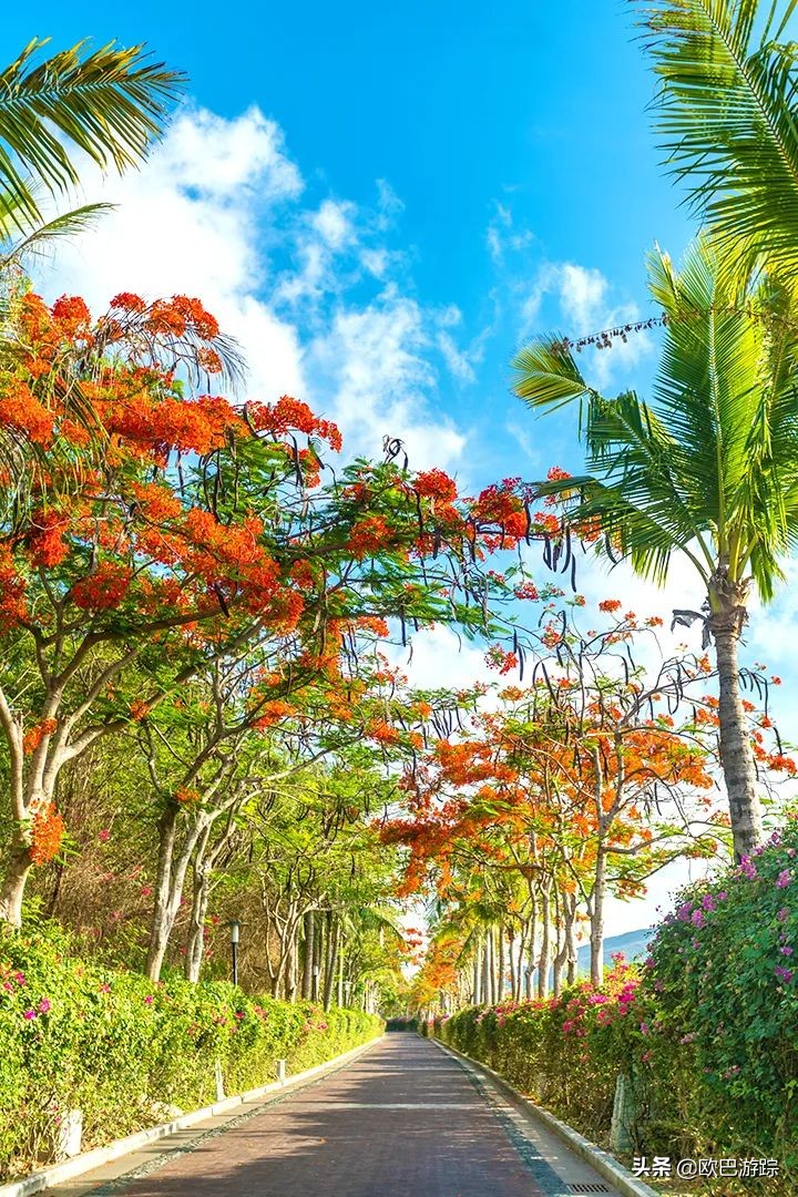 三亚维景度假酒店，占地100000多平米，位于天下第一湾的亚龙湾