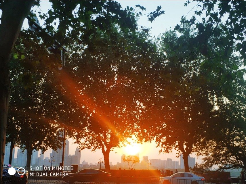 注册后第二天的熊喵喵，随便唠唠吧