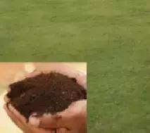 关于美容针的讲解,美容针可以解决哪些问题