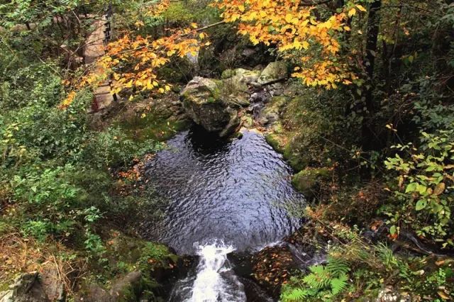 西安自驾秦岭秋色最好的地方,西安自驾一日游的绝佳去处秦岭