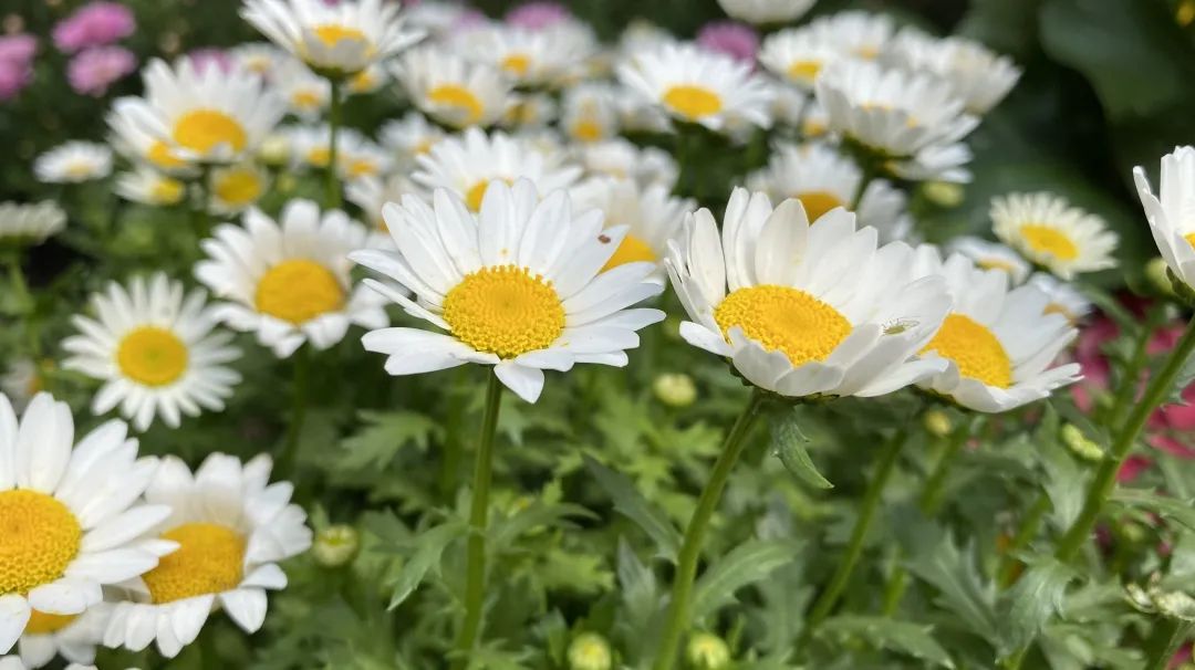 重庆五一冷门自驾,重庆出发自驾8日游攻略路线推荐