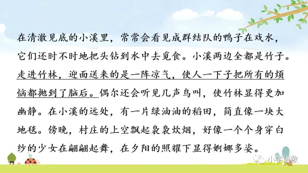 四年级下册乡下人家小练笔350字,四年级语文下册繁星精讲教学视频