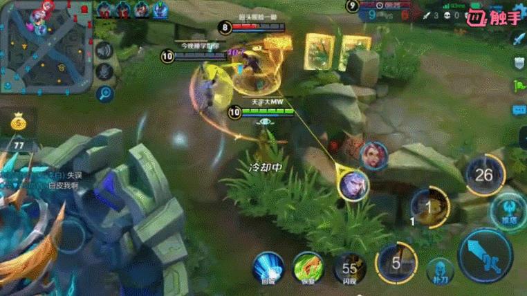 王者光荣婉儿再飞行,王者光荣婉儿操作秀张大仙