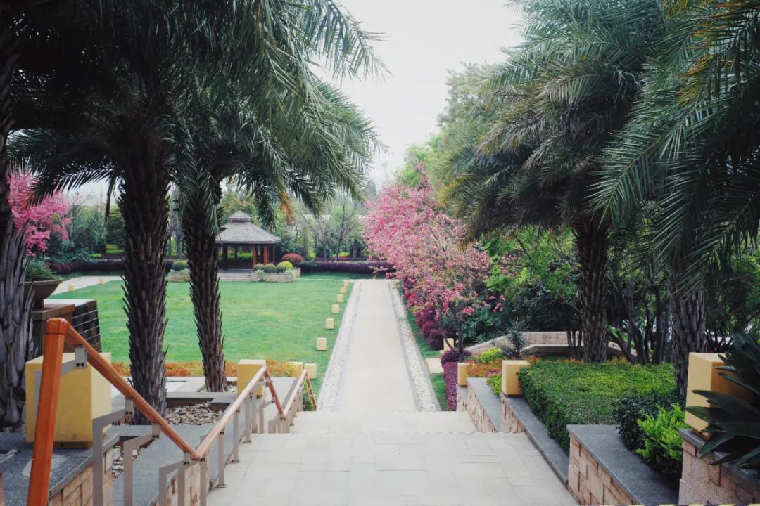 出发四季如春之地昆明,云南昆明攻略冬天